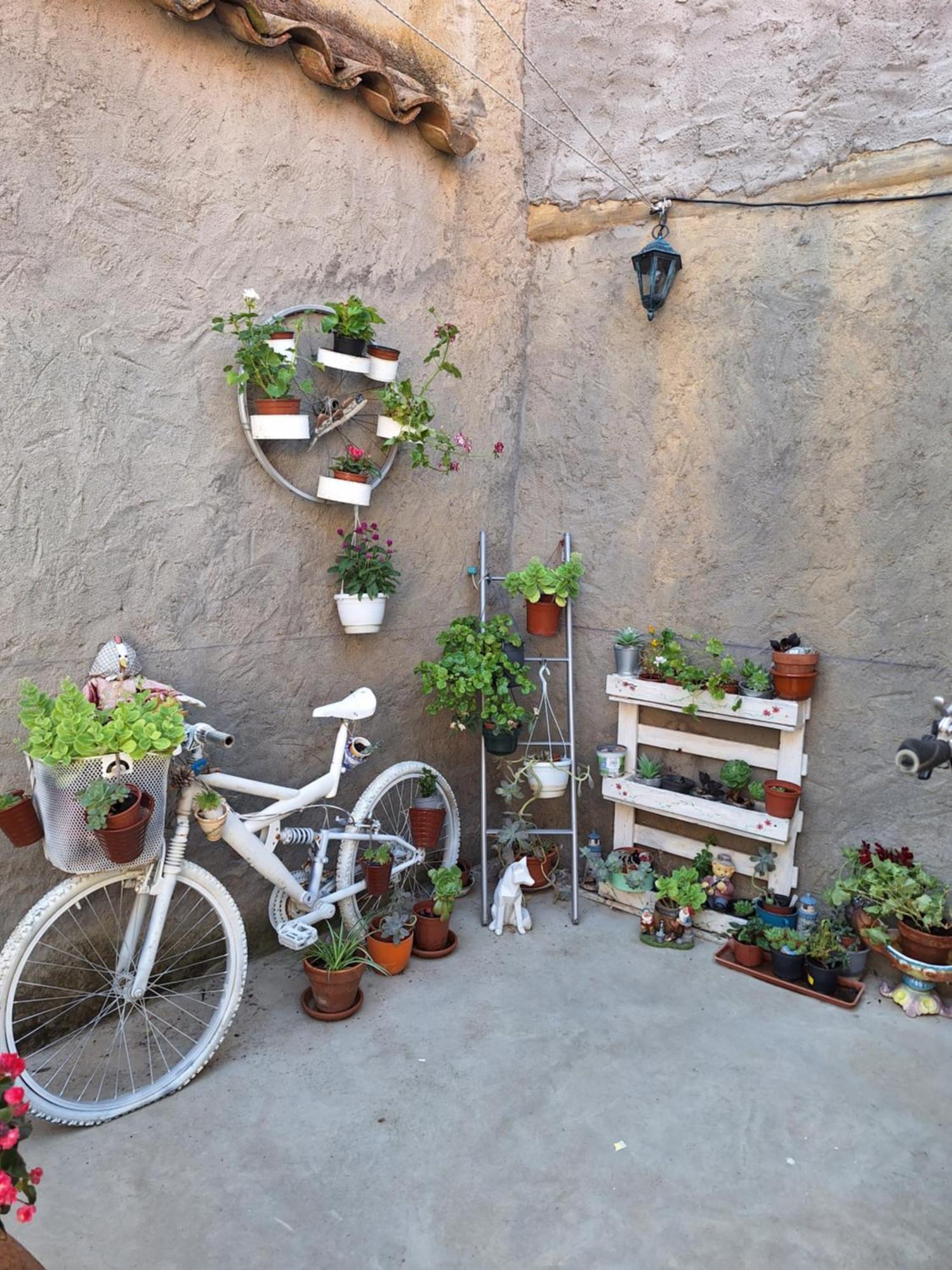 Casa Pita Siente Paz Y Calma En Un Lugar Con Encanto Bbc Btt Ninos Pets San Justo de la Vega Exterior foto